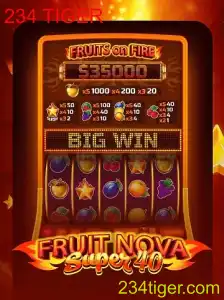Explorando o universo de 'FruitNovaSuper40' com a tendência '234 TIGER'